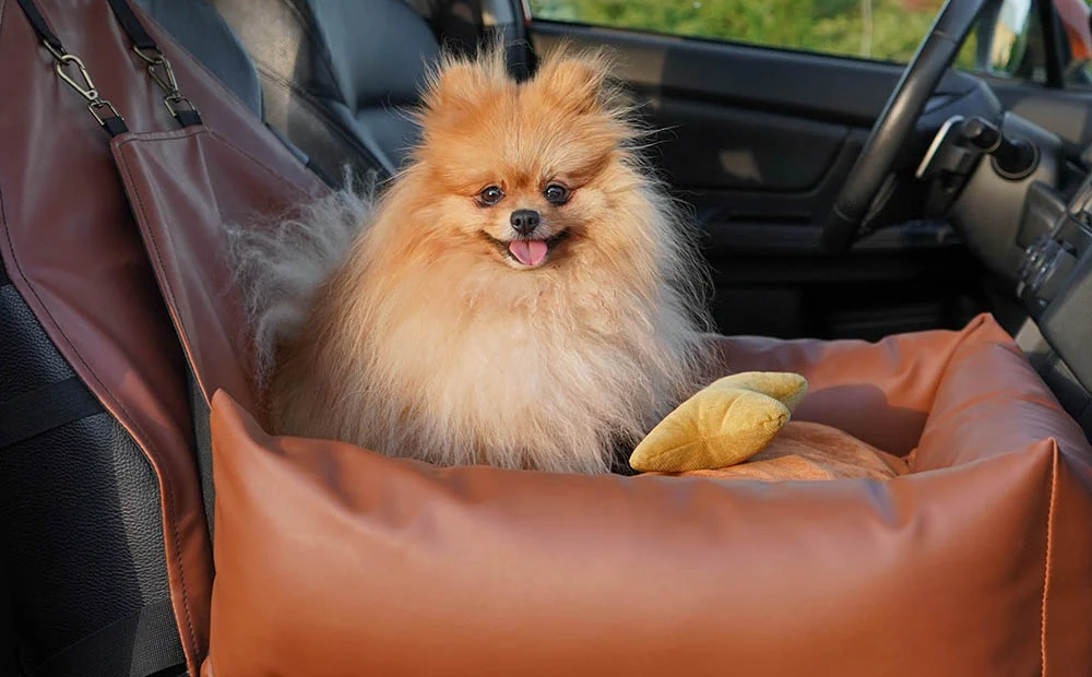 Ford Mustang Dog Car Seat for Shetland Sheepdogs