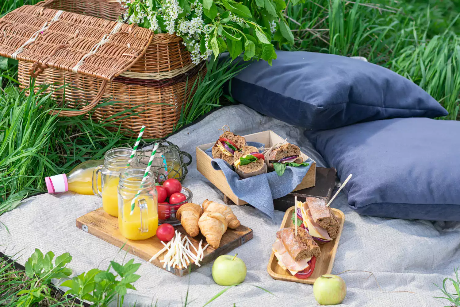 lightweight picnic blanket