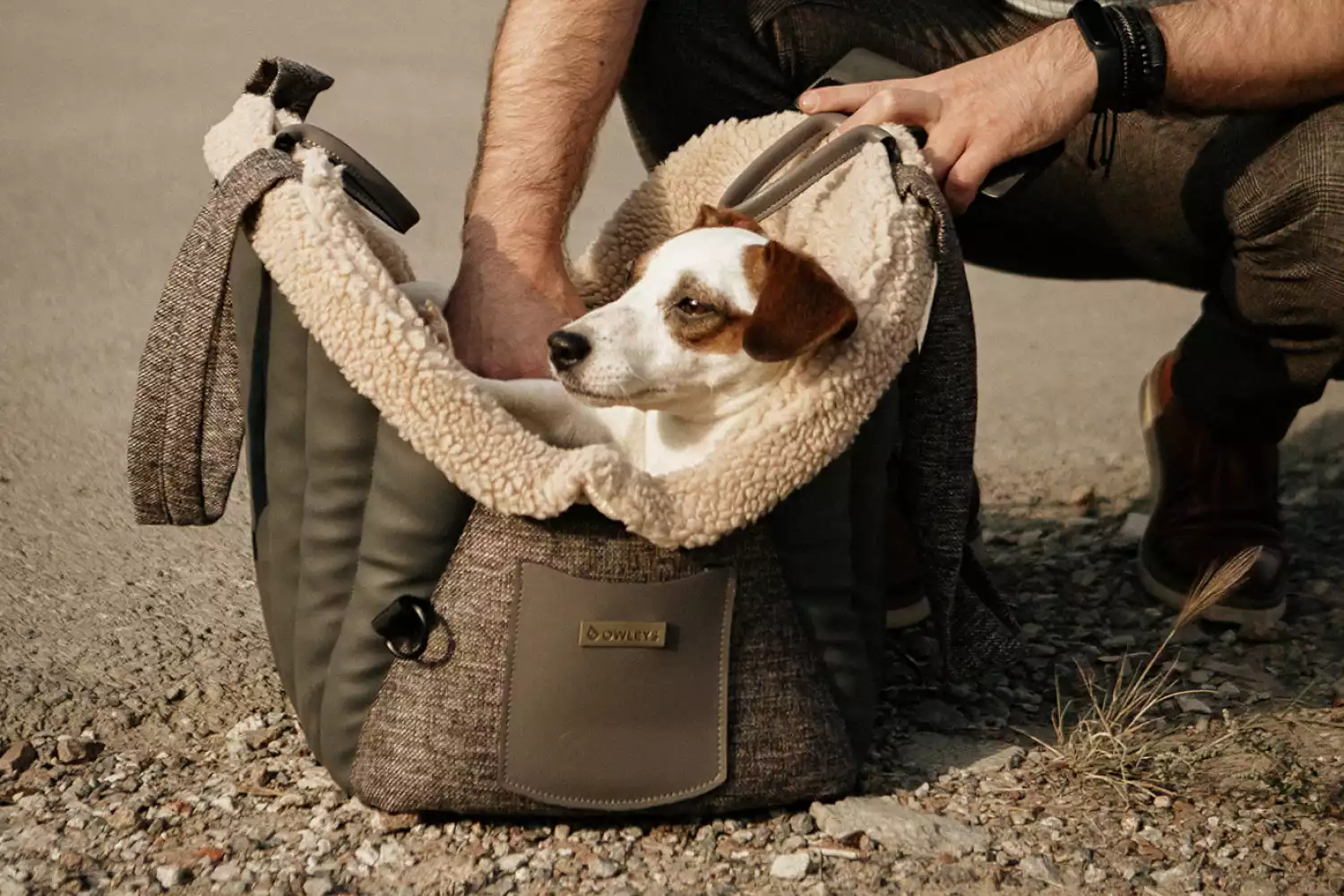 Dog Carrier Purse for Alaskan Klee Kai