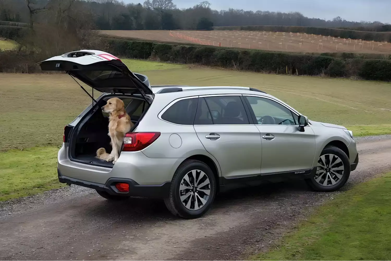 trash bin for Subaru Outback