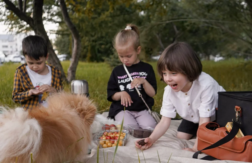 picnic mat ideas