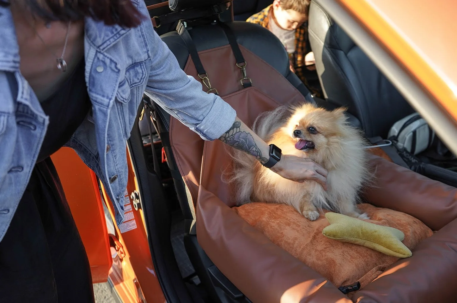 Toyota Sienna Dog Car Seat for Cockapoos